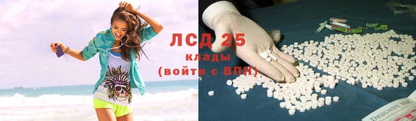 шишки Нязепетровск