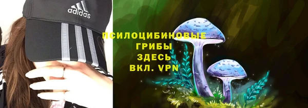 марки nbome Горняк