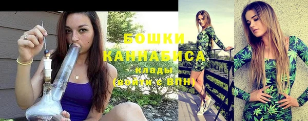 дурь Вяземский