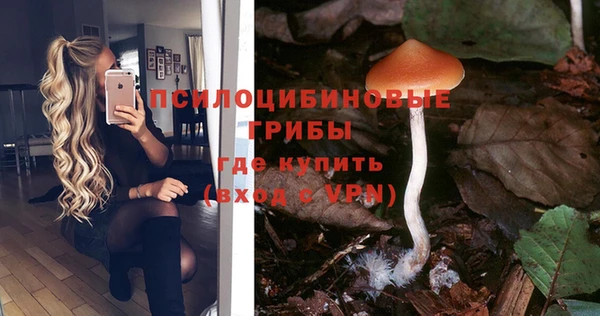 МДМА Горнозаводск