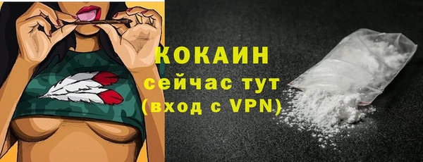 apvp Няндома