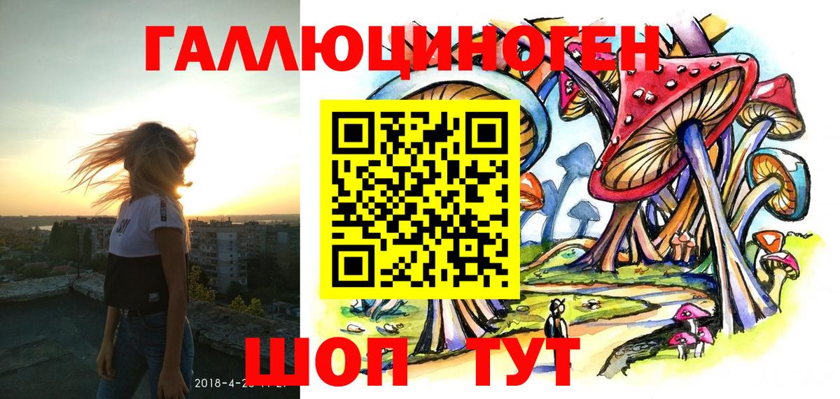 Псилоцибиновые грибы прущие грибы Елец